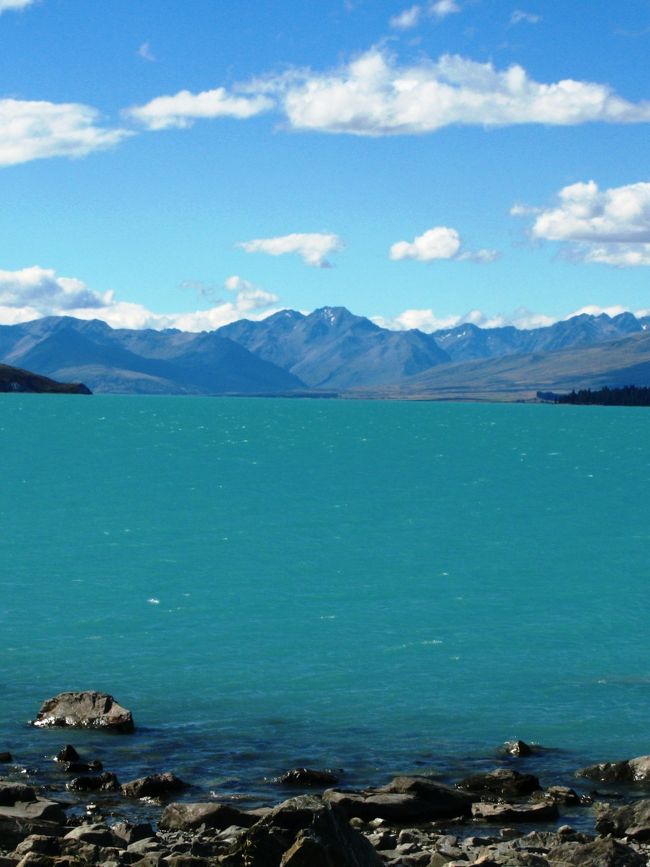 テカポ湖<br />テカポ湖（Lake Tekapo）は、ニュージーランドの南島にあるマッケンジー盆地の北端に沿って南北に伸びる、およそ平行した３つの湖の中で最大の湖である（他の２つは、プカキ湖とオハウ湖である）。面積は83平方キロメートルあり、海抜700メートルに位置している。湖水は、氷河が削った岩石の粉が溶け込んでいるために青緑色をしている。<br /><br />テカポ湖は、北方の南アルプス山脈に水源を持つゴッドレー川によって水が供給されている。この湖は、人気の高い観光地であり、湖の南端のレイク・テカポの町には数軒のリゾート・ホテルがある。<br /><br />善き羊飼いの教会<br />テカポ湖畔には、善き羊飼いの教会が所在しており、この教会は、1935年にマッケンジー地方で2番目に建てられた教会である。善き羊飼いの教会は、地元の芸術家エスター・ホープによる下絵に基づき、クライストチャーチの建築家R.S.D.ハーマンによって設計された。この教会は、おそらくニュージーランドで最も写真に撮られているものの一つであり、驚くほど美しい湖と山々の眺めを枠に収める祭壇の窓が特色になっている。<br />（フリー百科事典『ウィキペディア（Wikipedia）』　より引用）<br /><br />3日目（２月25日・木）<br /> 午前中：クライストチャーチの街やハグレー公園を徒歩にて散策。＜キーウィウォーク＞サーモン丼の昼食後、ミルキーブルーの氷河湖・テカポ湖へ。<br />16時頃：テカポ湖着。その後、プカキ湖沿いを通り、マウントクック村へ。<br />18時頃：マウントクック村に到着。<br />【宿泊：マウントクック国立公園内・ハミテージホテル泊】<br /><br />ニュージーランドの観光については・・<br />http://www.newzealand.com/travel/ja/sights-activities/scenic-highlights/scenic-highlights-home.cfm<br /><br />