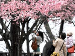 ひとり旅 ［698］ 松山城編･･･四国一周の旅＜松山城・ロープウェイ東雲口・秋山兄弟生誕地＞愛媛県松山市