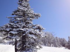 2010年スキー　戸狩・志賀と、タングラム＠和食の宿　一歩（てくてく）