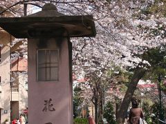 手塚治虫記念館と桜の花と乙女餅…宝塚の花の道を歩く…