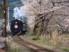 ☆2010花見①　川根ＳＬと家山の桜トンネル