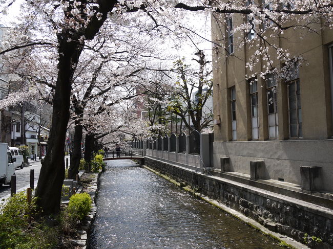 桜晴れの一日、２年に一度の旧友たちとの集まりに出席<br /><br />予定時間に余裕があったので<br />木屋町通りを三条から四条まで散策しました。<br /><br />坂本竜馬と海援隊ゆかりの地　「酢屋」<br />土佐稲荷神社など<br />幕末維新史跡を短い時間でしたが訪ねてみました。<br /><br />肌寒い日でしたが、咲き出した桜を眺めながら高瀬川のほとりはとても心地よかったです。<br />