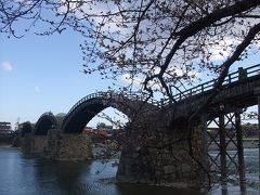 桜シーズンの錦帯橋