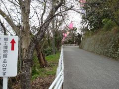 10年03月28日（日）、今朝の太田山公園の桜。