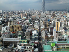 東京スカイツリー　東京タワーに並ぶ