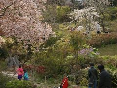 牧野植物園