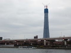 東京スカイツリーと隅田公園花見