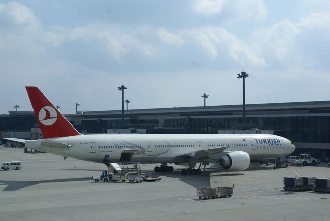 30回を超えた海外歴。<br />3回目の添乗員付きツアーで、従姉妹とトルコに行くことにしました。<br /><br />後から知ったのですが、トルコの添乗員付きツアーで回る場所はどのツアーもほぼ一緒。<br />飛行機の違いや、カッパドキアからイスタンブールの交通手段の違いが大きな違いらしい。<br /><br /><br />今回、トルコ航空の直行便・カッパドキアからイスタンブールは飛行機移動をチョイス。<br />初めての従姉妹との旅行で8日間。<br />さて、どおなることやら・・・o（＾o＾）o ワクワク<br /><br /><br />まずは成田からイスタンブールまでの1日目編です。<br />１日目は移動で終わりです。