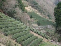 政令指定都市・相模原誕生／後編 ‐隠された茶畑‐相模湖～佐野川地区