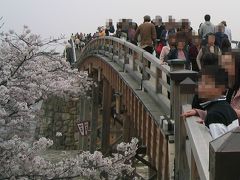 山口/錦帯橋の桜（2006年4月）