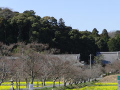 アイラブ仏像めぐり　川の流れに寄り添って５　観音寺