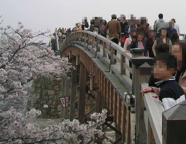 桜〜桜〜桜〜♪<br /><br />錦帯橋へ桜を見に行ってきました。<br />あまりお天気はよくなかったけど、見頃な今<br />人も車もすご〜〜〜〜い。<br /><br />（4年前の写真ですが、丁度桜の時期なのでアップしてみました。）