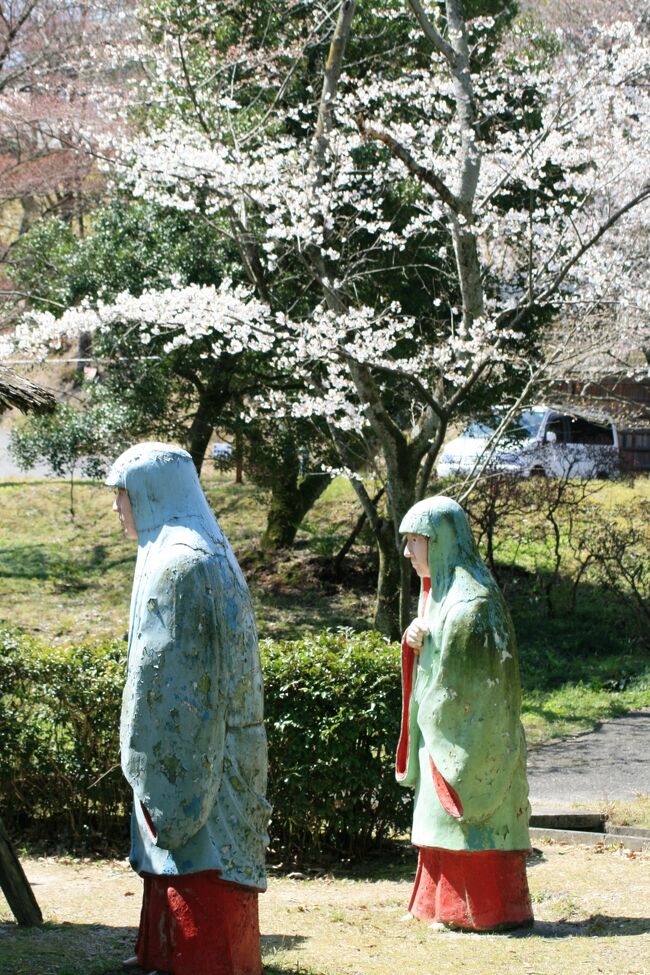 2010春、五分咲の五色園の桜(3/4)：ソメイヨシノ、ヤマツツジ、レンギョウ、親鸞聖人像