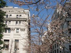 東京の桜を求めてぶらぶらと散策する①日本銀行付近