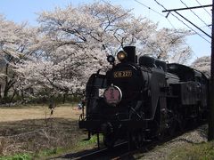 近くに行きたい♪　｢★家山の桜トンネルと大井川鉄道ＳＬ★｣