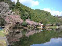 MTBでウロウロ…=① 桜咲く大井川鉄道家山駅周辺=