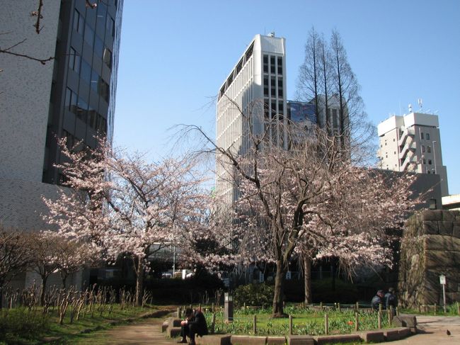 3月30日、午後2時半過ぎに日本銀行本店を通り過ぎて常磐橋を渡り、常磐橋公園に行った。　常磐橋を渡るところから公園に桜の花が咲いているのが見られた。<br /><br /><br /><br /><br /><br /><br />＊写真は常磐橋公園の桜