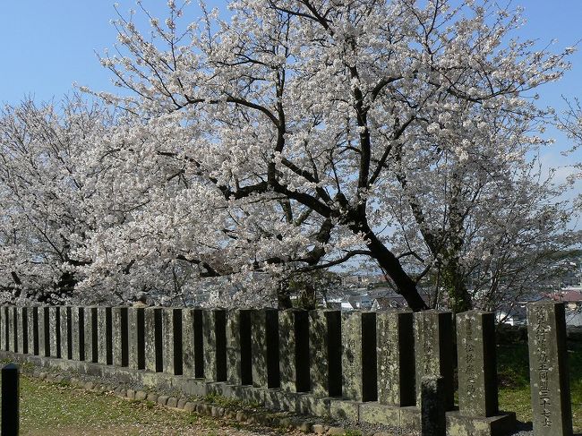 去年の今頃は転勤の準備で忙しくて花見どころではありませんでした。今年は２年分の桜を見るぞ?。<br />第３弾は大村編です。大村に行く前に、ちょこっと長崎市内の桜もね。(^^)<br /><br />☆大村護国神社<br />☆春日神社<br />◇旧楠本正隆屋敷<br />☆大村公園