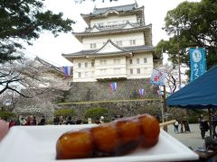 ♪10年03月31日（水）、おだんごシリーズ○８１・小田原城名物だんご。