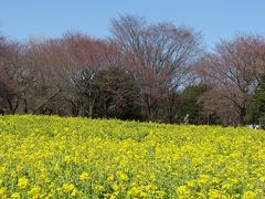 MILFLORESの花いっぱい里帰り　ダイジェスト