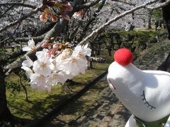 和歌山で花見でくたっと♪