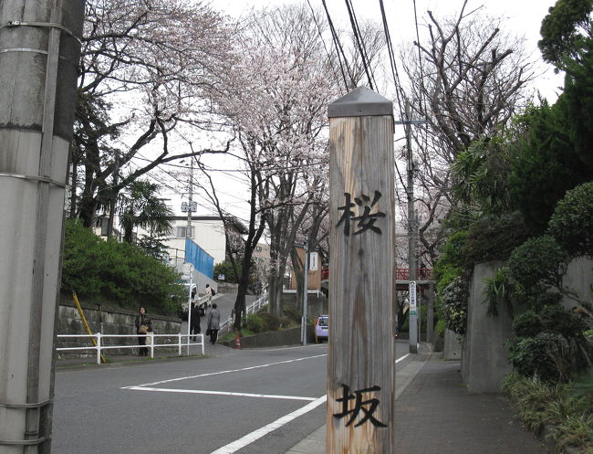 ようやく暖かくなってきたこの日、午前中に用事を済ませた帰りの電車で、そう言えばこの近くに、福山雅治さんの歌にある桜坂があったけど咲いてるかな～と思い、なにげに途中下車。<br /><br />こんな思いつきが、春さんぽの始まりになりました。<br />午後は何も予定ないし、いっぱい歩こっ(^^)