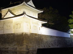京都の夜桜２０１０　二条城