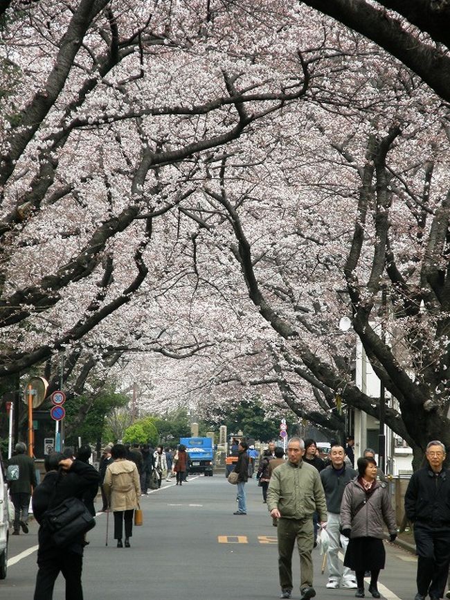 久喜市高齢者大学２６期さわやかＯＢ会恒例の散策が「上の界隈ミステリー散策」として企画されました。<br /><br />はたして、どんなコースになっているのか？<br /><br />ミステリーにもかかわらず３３名の参加者があり<br />お花見を兼ねたミステリー散策は大成功でした。<br /><br /><br /><br />