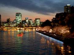 ･*。2010桜の名所・開花情報その２。*･大阪城、造幣局、大川沿い、見頃はいつ？