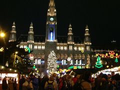 真冬のウィーン