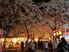 京都＠夜桜、楽しみました～平野神社