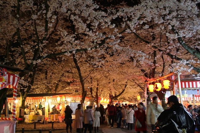 同僚から「平野神社の桜がな～」と、呪文のように言われ続けていたという、弟その１嫁。<br />そんな話を弟としていて、思い立って夜桜見物となった訳です。<br /><br />立派なナビがあるというのに、ナビ通りに進めない不思議なこの夫婦。<br />そこでお誘いを受けたのは、地図が読める姉(笑)<br /><br />今年はどこの桜を楽しもうかしら♪<br />なんて思っていたところに受けたお誘い。<br />桜も人間ウォッチングも楽しんできました。