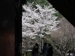 【京都桜2010】 京都三大門の一つ 「南禅寺三門」