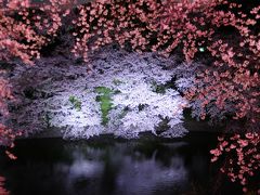 満開の桜トンネルを抜けて　＠東京　千鳥が淵　