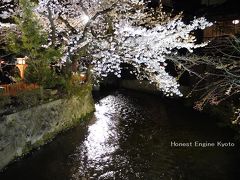 祇園白川の宵桜ライトアップ