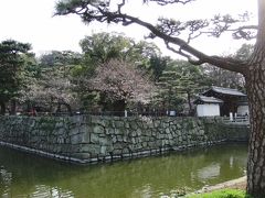 桜がもう少しで咲きそうな和歌山城