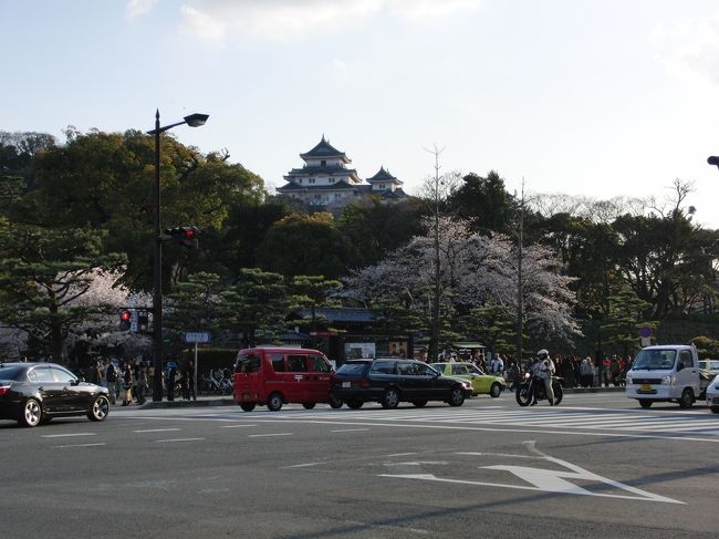 今日はお日様の出ている内にお花見に。<br />ただ、書店で本を買うのに時間が掛かり、滞在時間はホンの少し。