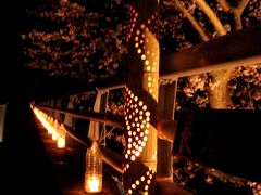 佐久間ダムの桜まつり　前夜祭　夜桜ライトアップ