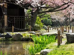 宝探し？！東本願寺の別邸　『渉成園』　春の京都２０１０③