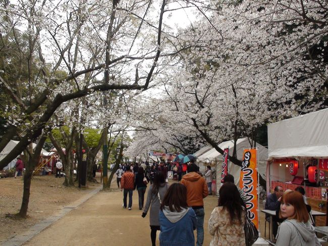 期間 : 2010年03月26日〜2010年03月26日<br />エリア : 九州地方 >> 大分県 >> 臼杵・佐伯・豊後竹田 >> 竹田・久住<br />内容 : 期間 : 2010年03月26日〜2010年03月26日<br />エリア : 九州地方 >> 熊本県 >> 熊本 >> 熊本市内<br />内容 : 期間 : 2010年03月25日〜2010年03月25日<br />エリア : 九州地方 >> 熊本県 >> 八代・人吉・水俣 >> 球磨・多良木<br />内容 : 期間 : 2010年03月25日〜2010年03月25日<br />エリア : 九州地方 >> 熊本県 >> 八代・人吉・水俣 >> 水俣・湯の児温泉<br />内容 : 期間 : 2010年03月25日〜2010年03月25日<br />エリア : 九州地方 >> 宮崎県 >> 都城・えびの・京町 >> 都城<br />内容 : 2010年の桜百選の旅は、九州へ行くことに決めた。<br />本当は、電車の旅もきっと楽しいだろうが、<br />娘がまだ1歳8カ月ということもあり、車の旅にした。<br />今回の旅の目的は、桜を観に行くということではあったが、<br />いかに効率よくまわり、食べログの人気店を訪れることと、<br />家内と娘にささやかなサプライズを盛り込むことを考えた。<br />結果的に、2000kmを超える走行距離となり、普段から<br />車の運転をするような人だとつらくなるような旅程になった。<br /><br />【旅行日程】<br />2010年3月25日(木)<br />羽田⇒宮崎 JAL1883便<br /><br />宮崎空港→都城(宮崎県)→伊佐市(鹿児島県)→水俣市(熊本県)→球磨郡水上村(熊本県)→熊本市(熊本県)<br />「熊本全日空ホテルニュースカイ」宿泊<br /><br />2010年3月26日(金)<br />熊本市(熊本県)→高千穂(熊本県)→竹田市(大分県)→阿蘇郡南小国町(熊本県)→熊本市(熊本県)<br />「熊本全日空ホテルニュースカイ」宿泊<br /><br />2010年3月27日(土)<br />熊本市(熊本県)→長崎市(長崎県)→大村市(長崎県)→西彼杵郡時津町(長崎県)→佐世保市(長崎県)→長崎市(長崎県)<br />「長崎ホテル清風」宿泊<br /><br />2010年3月28日(日)<br />長崎市(長崎県)→小城市(佐賀県)→唐津市(佐賀県)→北九州市(福岡県)→下関市(山口県)→福岡市(福岡県)<br />「ホテルオークラ福岡」宿泊<br /><br />2010年3月29日(月)<br />福岡市(福岡県)→阿蘇郡南阿蘇村(熊本県)→大分市(大分県)→福岡空港<br /><br />桜100選を中心に紹介をしてみる。<br /><br />【大村公園】<br />旅行3日目に突入。<br />土曜日のお昼に訪れたので、駐車場もすでに人がいっぱい<br />だった。中は、公園になっており屋台も出ていた。桜としては<br />そんなに大きくない印象であった。駐車場の施設がそんなに<br />充実していないので、早めに行く方がよい。