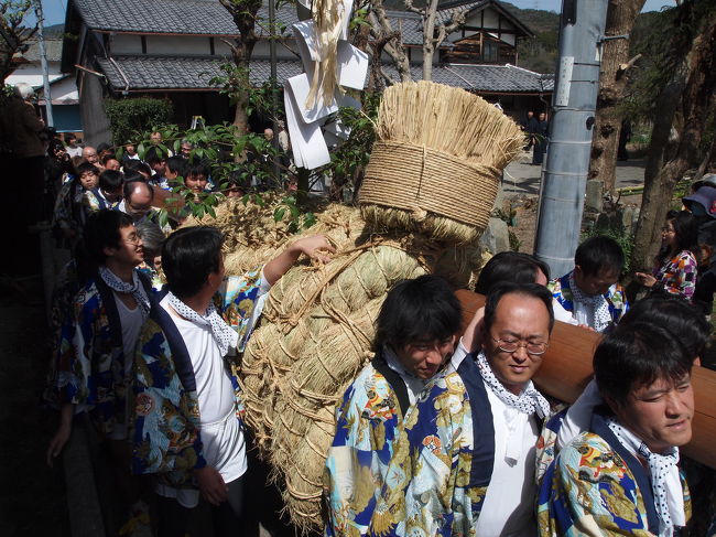 高槻市の原にある八阪神社では、毎年４月には春祭歩射神事が行われます。<br /><br />この神事は、蛇祭りとも呼ばれ、藁の大綱を大蛇にみたて担いで神社まで練り歩き、境内の二本の松に掛け渡して、的をつけ弓で矢を射掛けます。<br /><br />この祭りは、昨年神峰山寺を訪ねたときに、発見したもの。（詳しくは、旅行記‘近場の紅葉をもとめて神峰山寺（かぶさんじ）へ　http://4travel.jp/traveler/geru0201/album/10407008/’をご覧ください。）<br /><br />屋台もなく地域に密着した祭りですが、時間と共に盛り上がりもあり、楽しい時間をすごすことができました。<br />