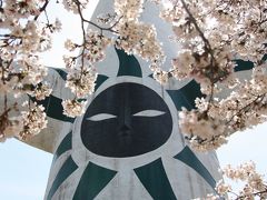 【大阪桜2010】 大阪随一の桜の名所 「万博記念公園」　