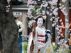 2010年春京都へ桜と筍を求めて