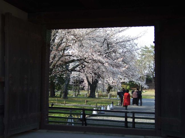 日帰り京都散策（第7回）。桜の季節の二条城