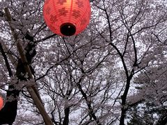 雨のお花見＠洗足池公園2010～GR　DIGITALⅡ～