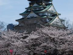 桜を楽しむ春の日のお散歩☆大阪城から桜ノ宮☆