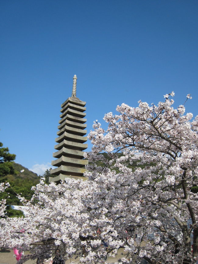 近江の地はまだまだ不十分も、京都は桜真っ盛り。関西で桜を愛でたいと思うも、候補は①姫路城②醍醐寺③哲学の道をはじめとした東山④奈良公園をまずは考えましたが、尋常じゃない混み具合が予想されます…<br />しばし考えて、名神を使わない、1時間程度の範囲で桜満開ということで宇治にしました。平等院も宇治神社も宇治上神社も行っていない、花見オンリーも疲れなくていいですね。