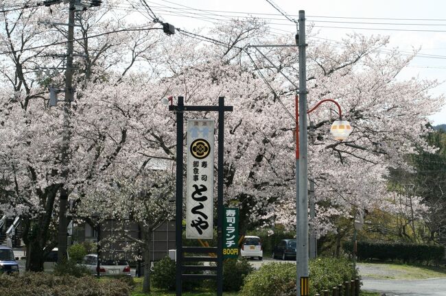 日本百名城の46番、長篠城址の紹介です。桜が満開でした。武田軍対織田・徳川連合軍が激しい戦いを繰り広げた歴史の場所です。
