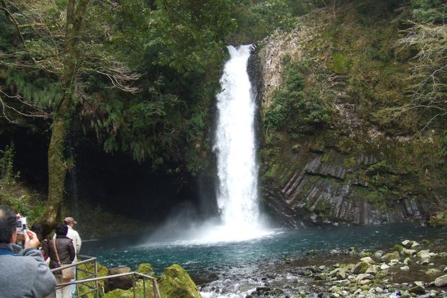 8ヶ月のベビーとの２泊３日の伊豆・箱根旅行の伊豆編です。