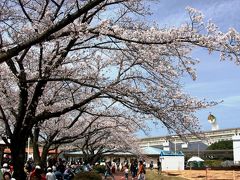 【大阪桜2010】 今こそ、農と言える日本へ 「ファームエキスポ」　